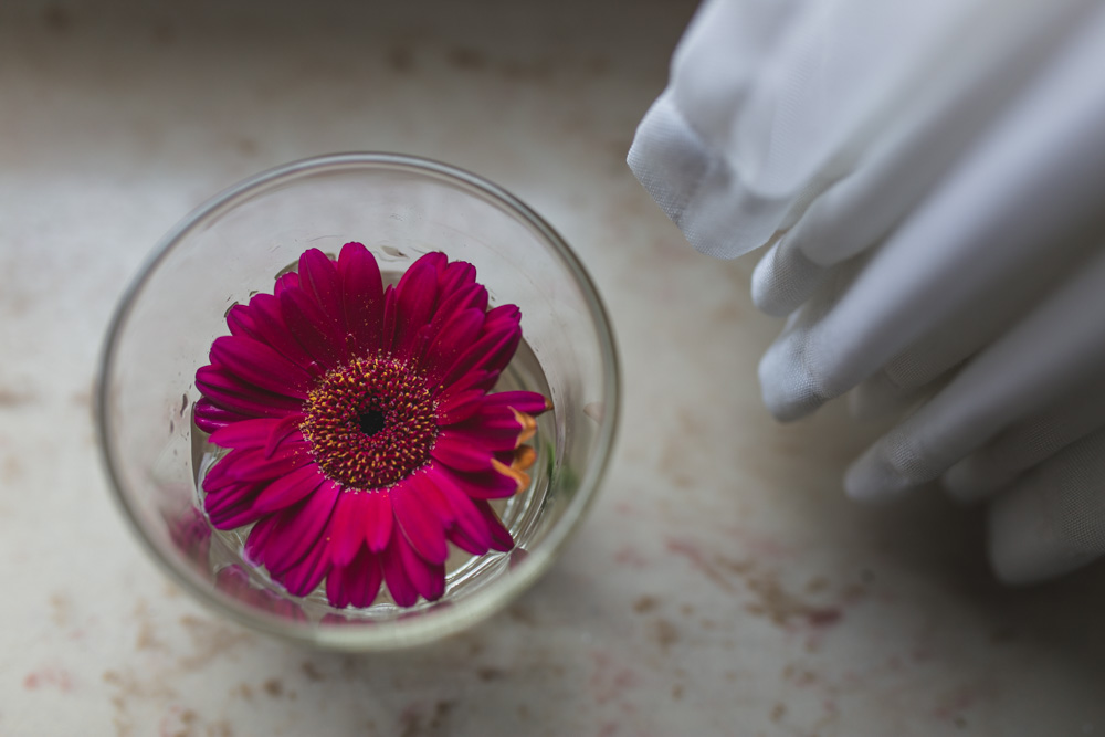 Hochzeitsfotograf im Standesamt Jork